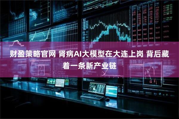 财盈策略官网 肾病AI大模型在大连上岗 背后藏着一条新产业链