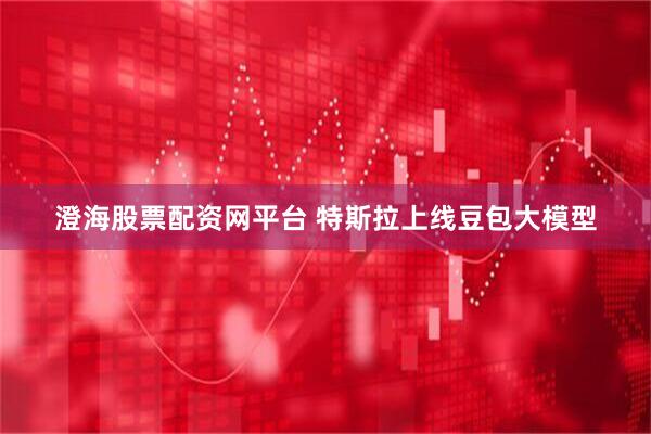 澄海股票配资网平台 特斯拉上线豆包大模型